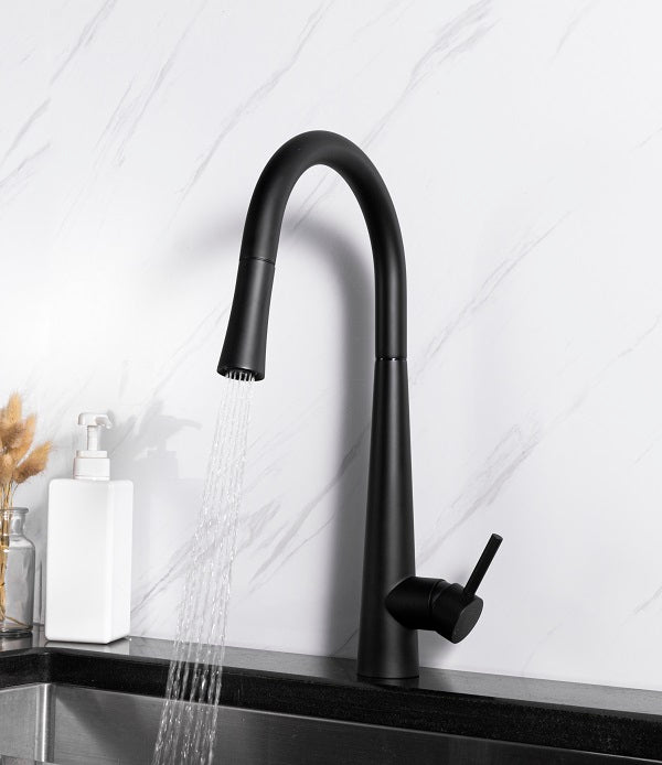 Sensor Robinet de cuisine with pull down.