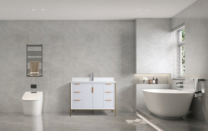 EVOS BRAND EVA II 48"