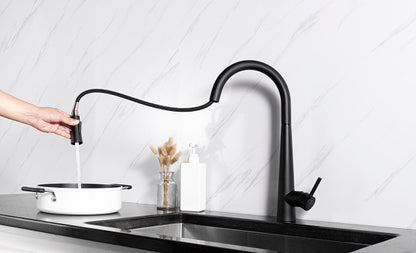 Sensor Touch Robinet de cuisine with pull down perfomance